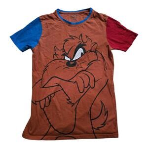 Vintage Looney Tunes Taz colorblock tee Unisex Kid SZ 13 Retro Cartoon Shirt